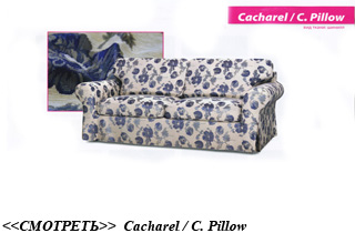 ������ Cacharel-C-Pillow