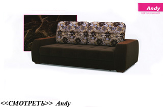������ andy