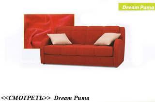 ���� dream-puma