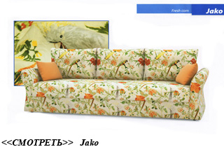 ���������� Jako